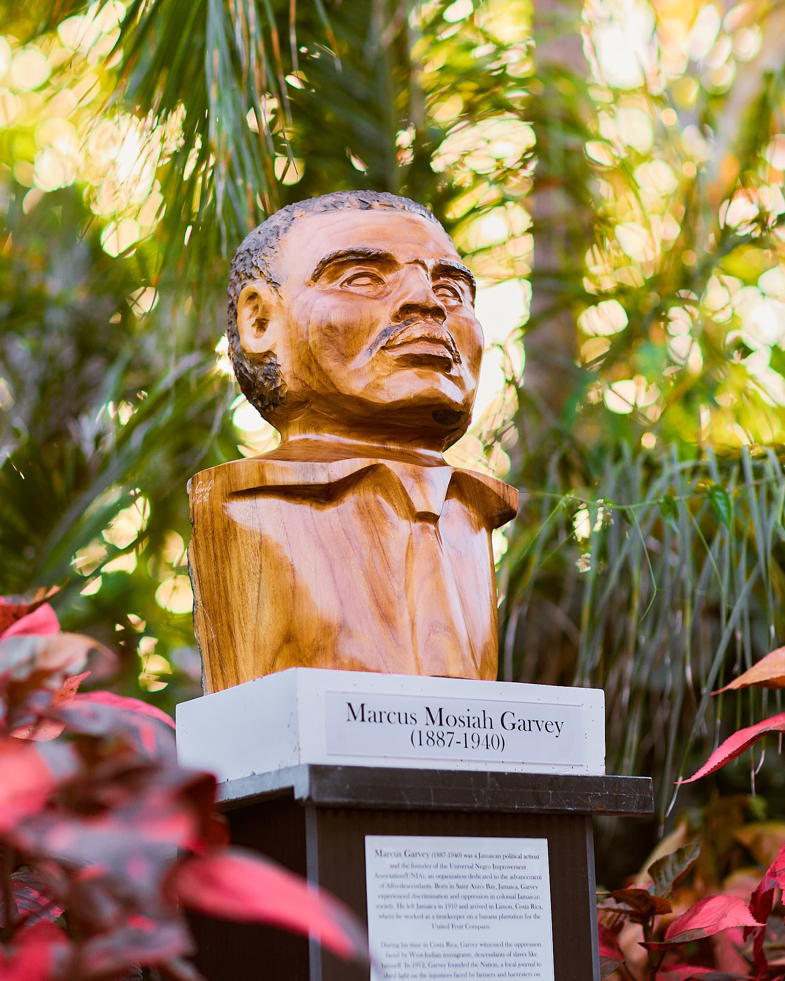 Raíces afrocaribeñas